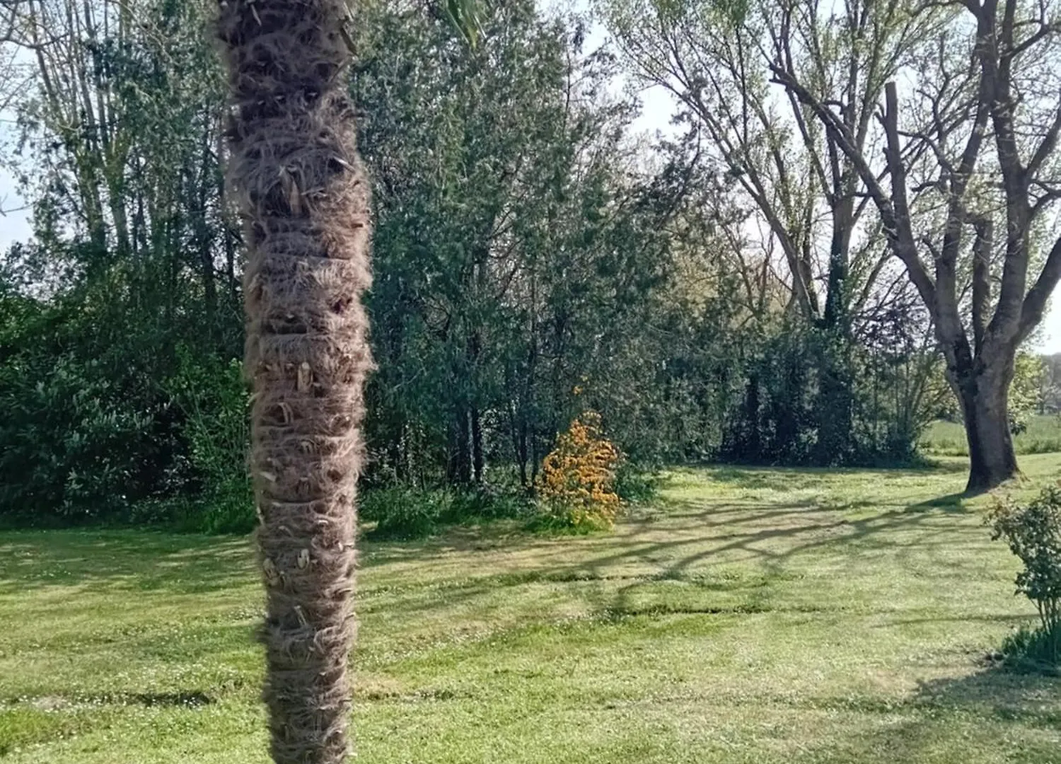 Vakantieboerderij Ferme Aquinaut - Le Paradis Montesquieu-Volvestre